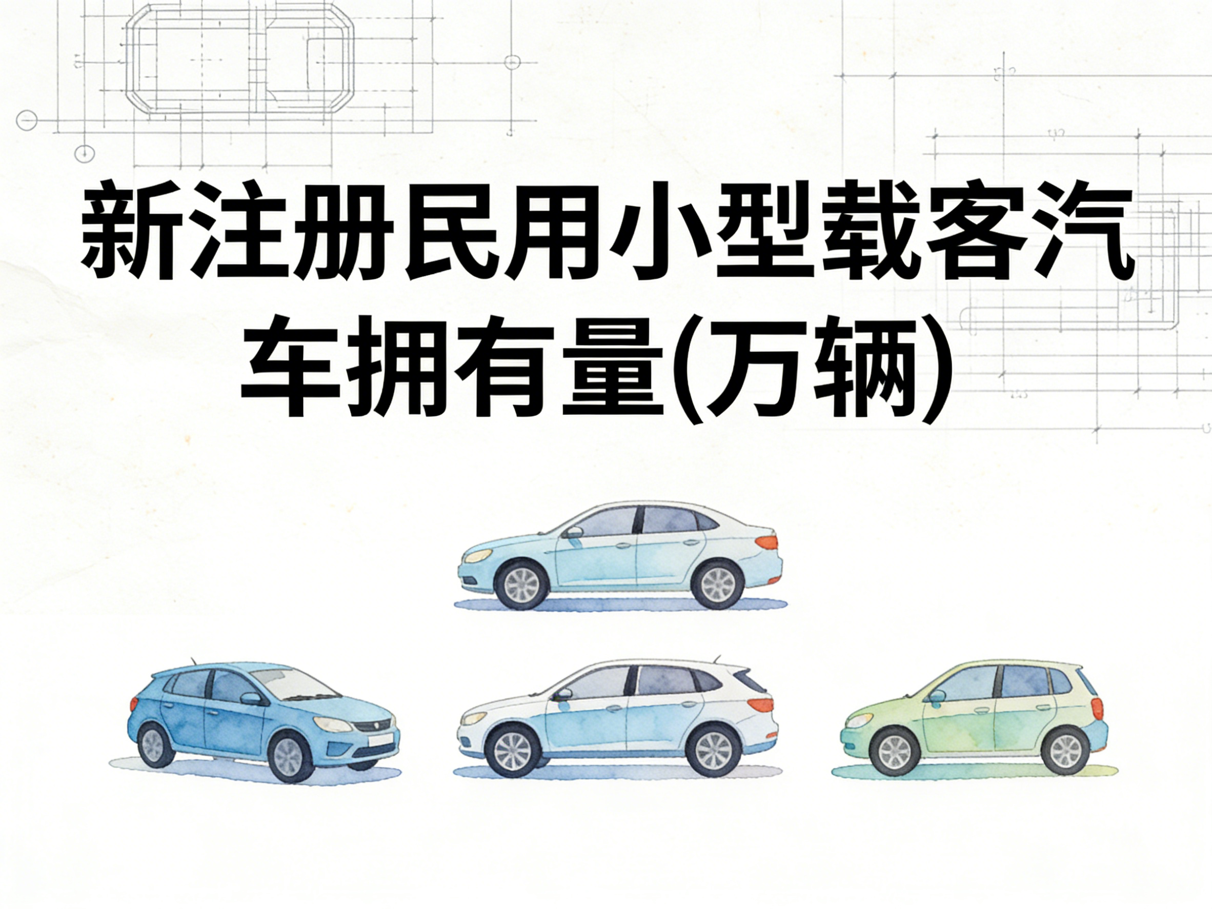 2002-2024年中国新注册民用小型载客汽车拥有量数据集