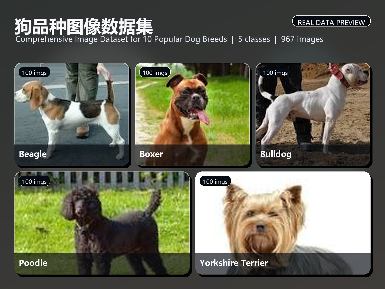 狗品种图像数据集