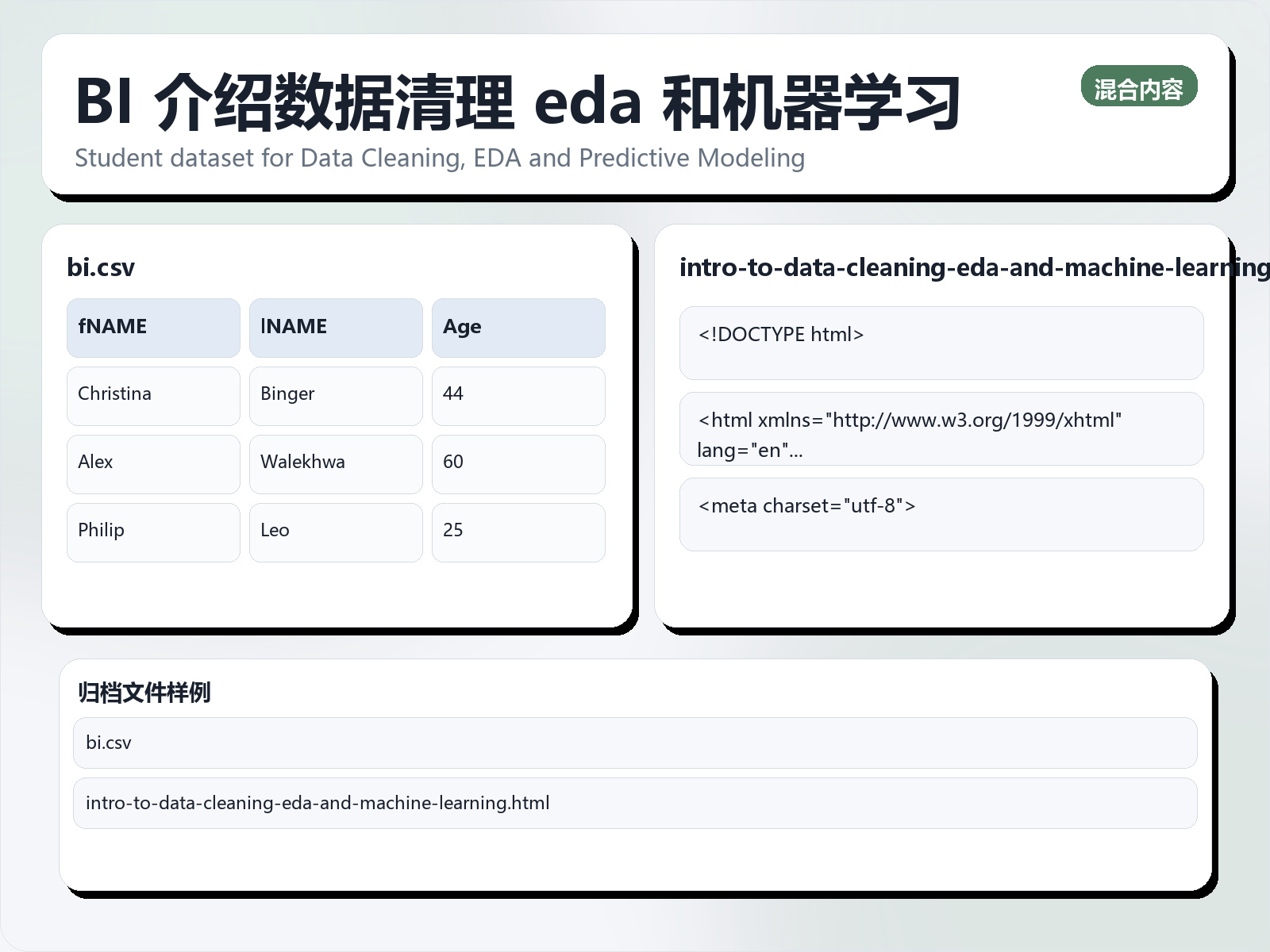 BI 介绍数据清理 eda 和机器学习