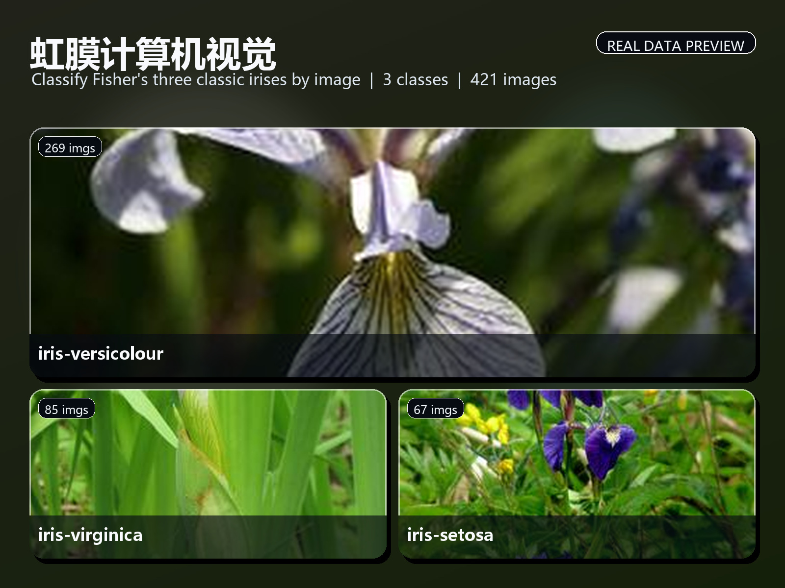 虹膜计算机视觉