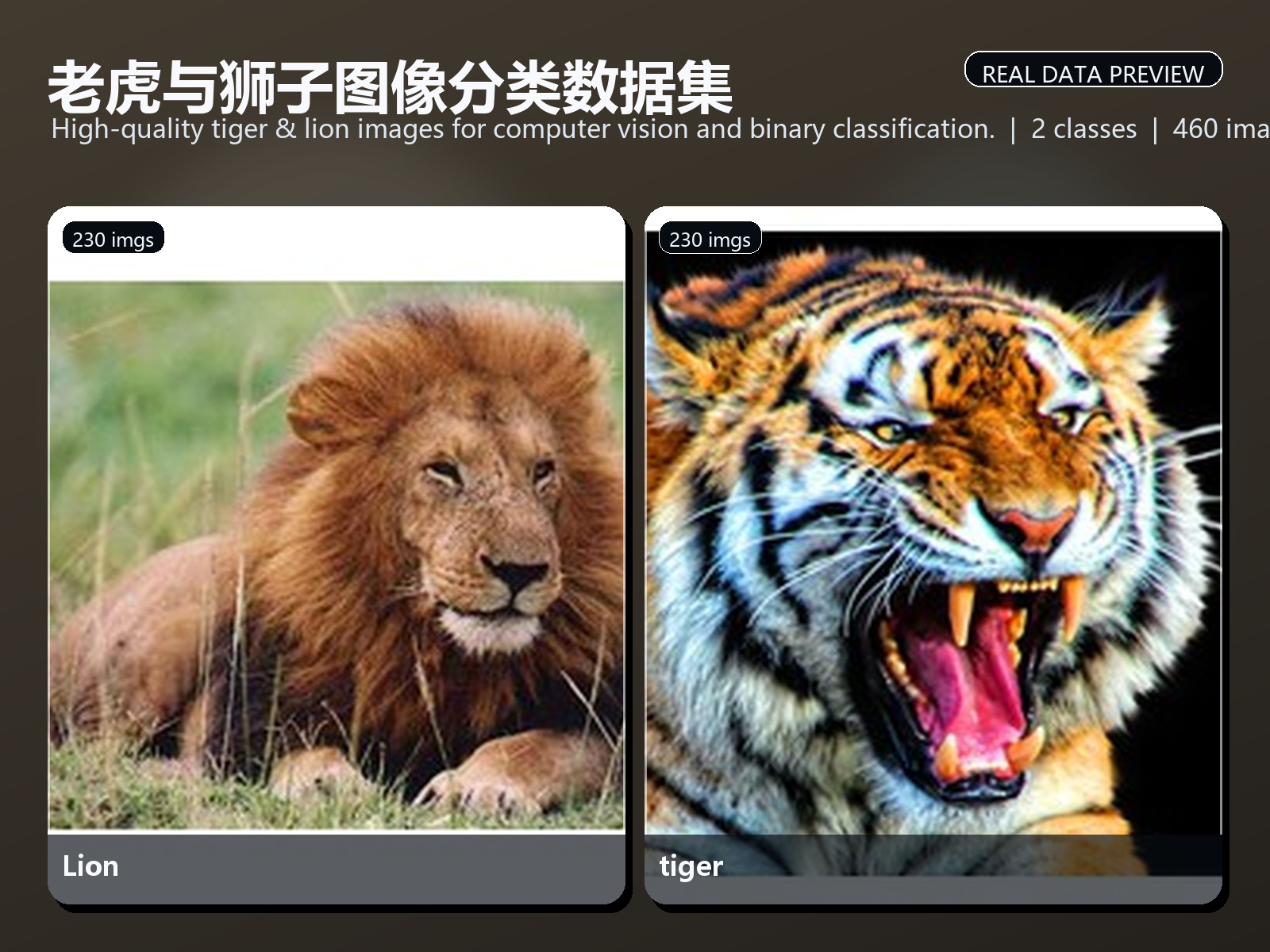 老虎与狮子图像分类数据集