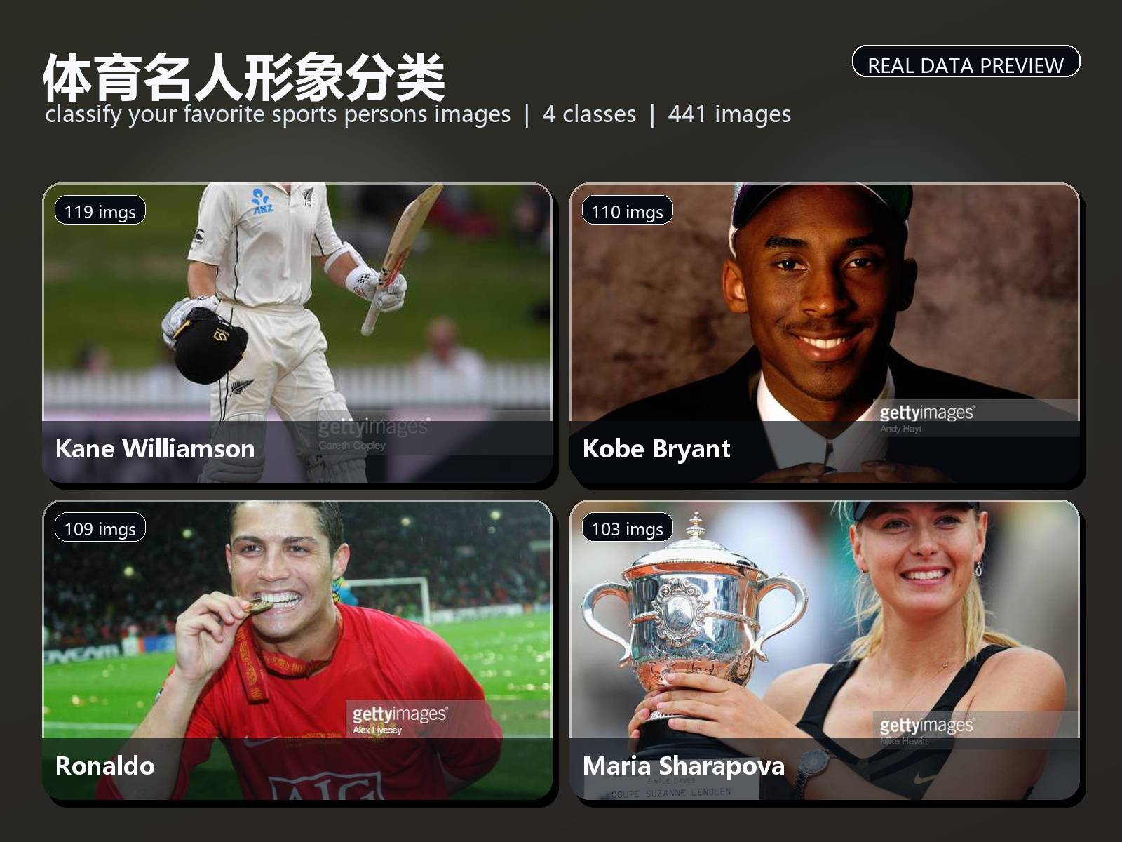 体育名人形象分类