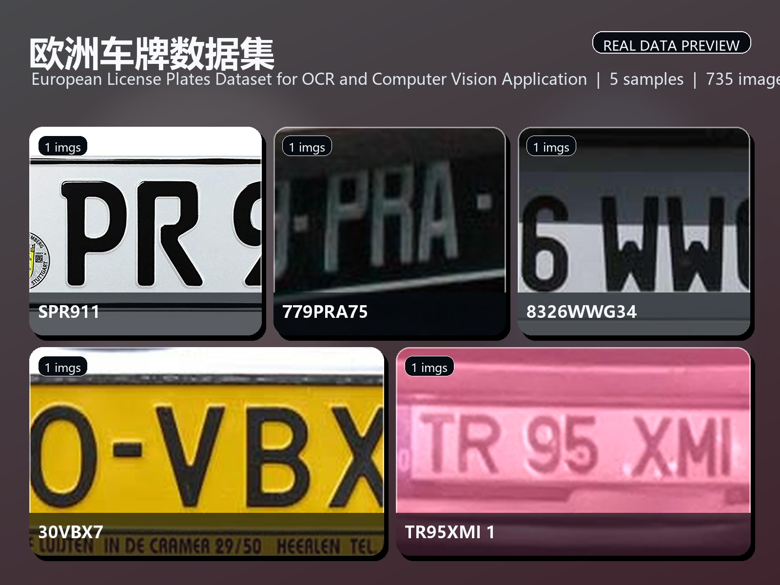 欧洲车牌数据集