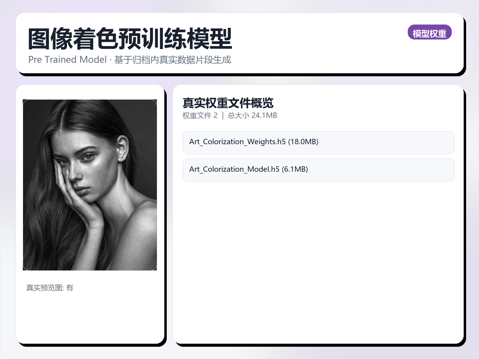 图像着色预训练模型