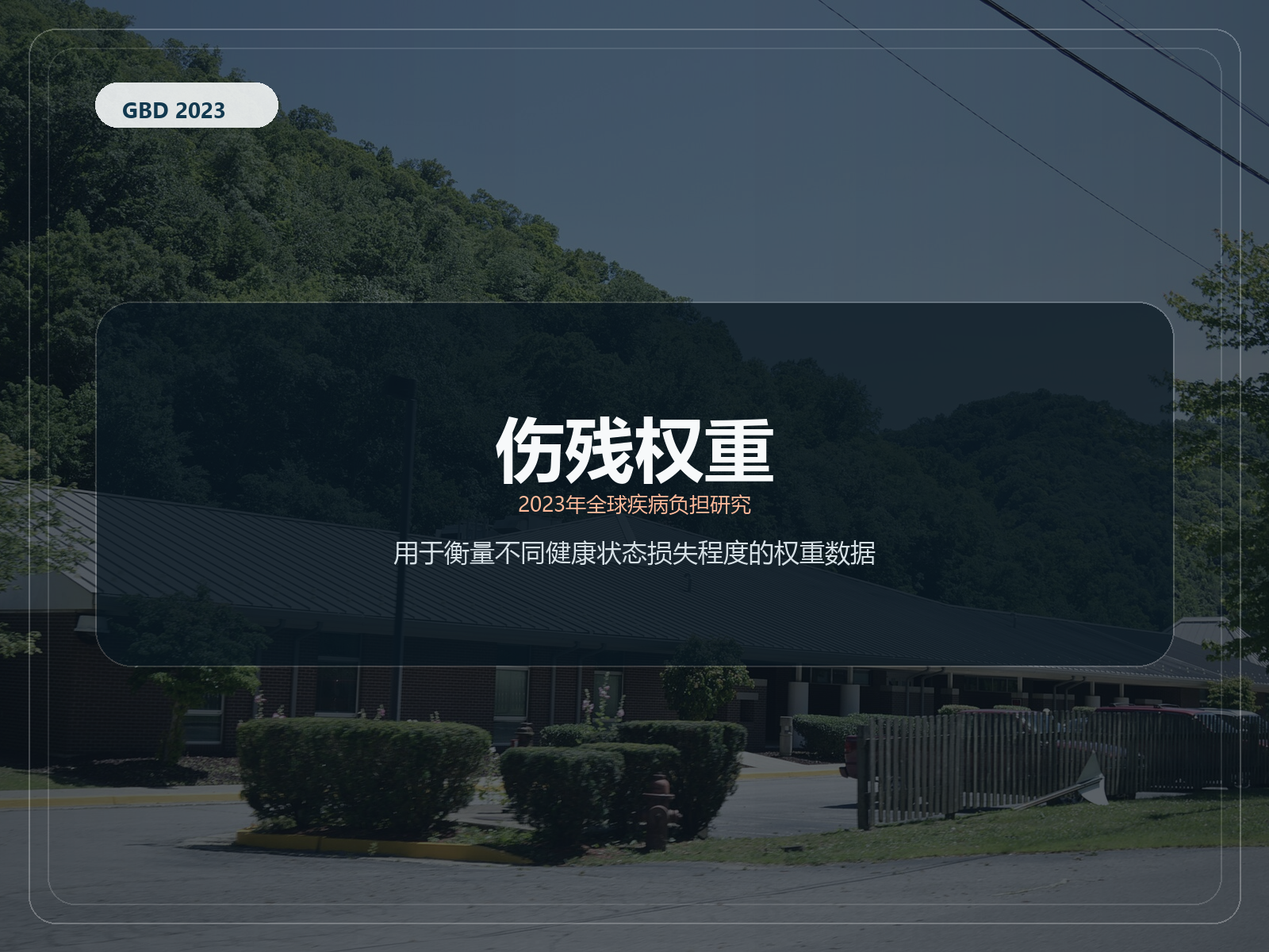 2023 年全球疾病负担研究 残疾权重