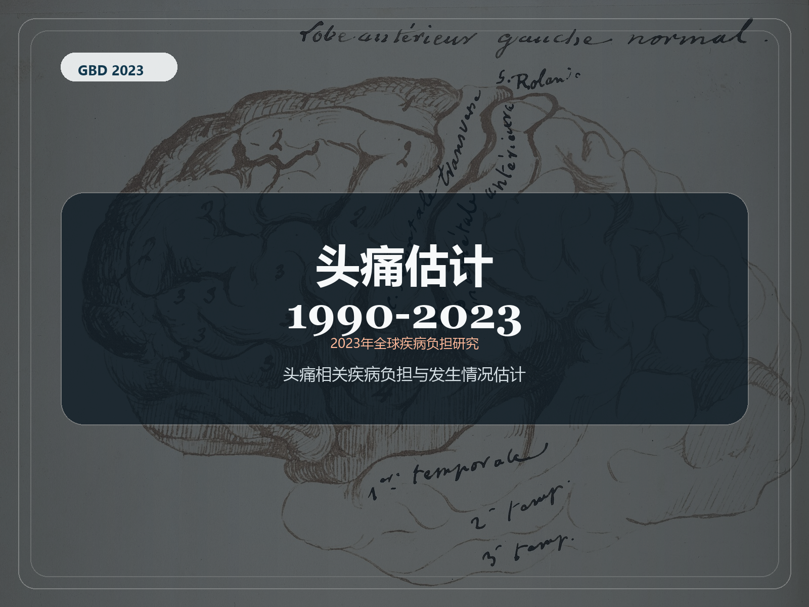 2023 年全球疾病负担研究 1990-2023 年头痛估计