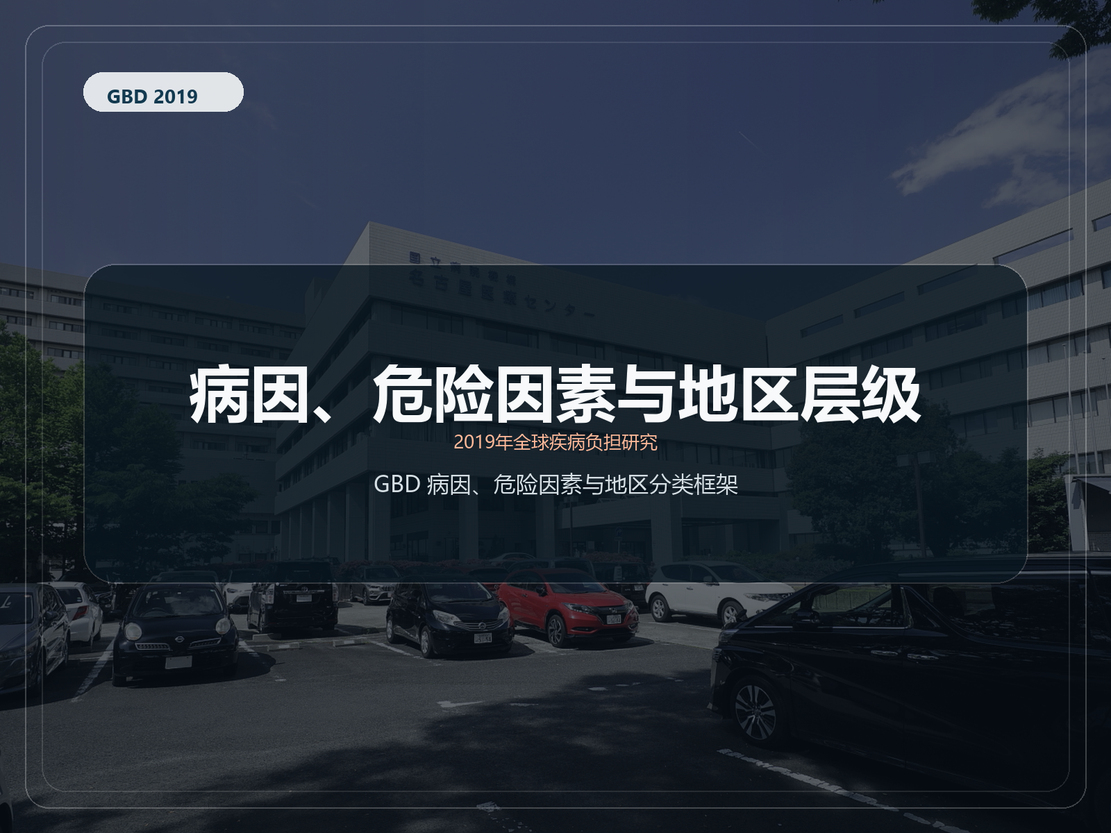 2019 年全球疾病负担研究 原因、REI 和位置层次结构