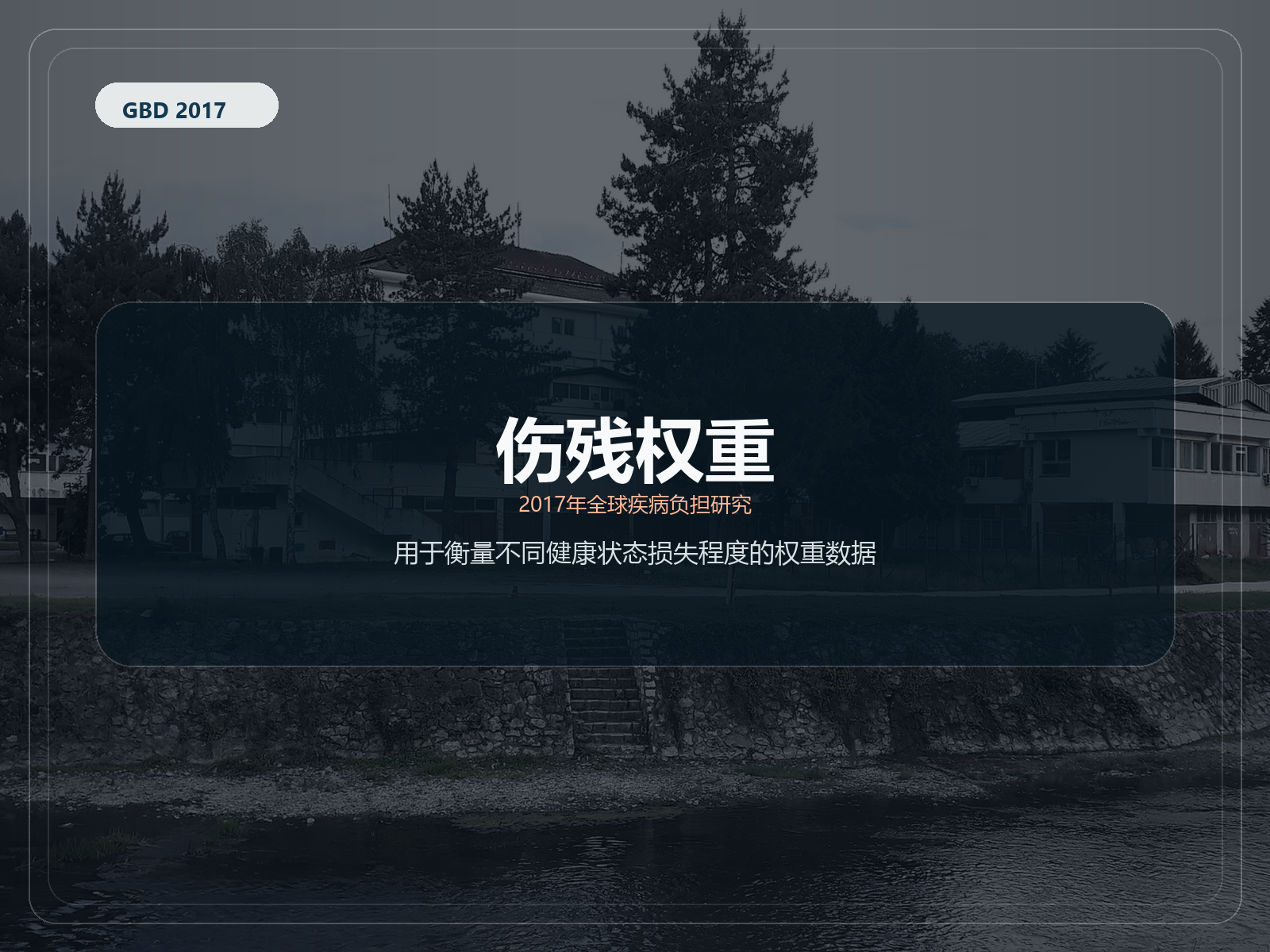 2017 年全球疾病负担研究 残疾权重