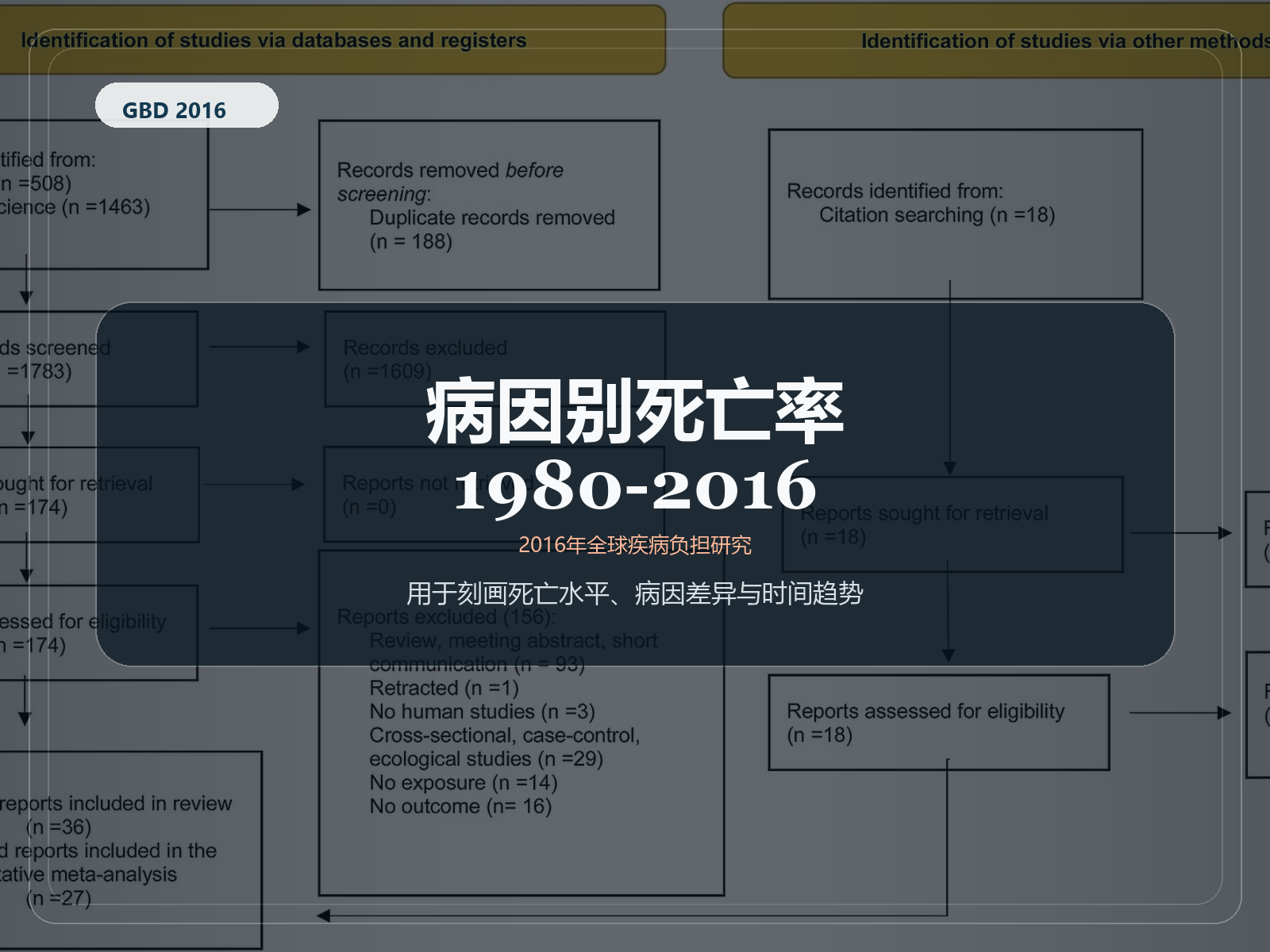 2016 年全球疾病负担研究 1980-2016 年特定原因死亡率