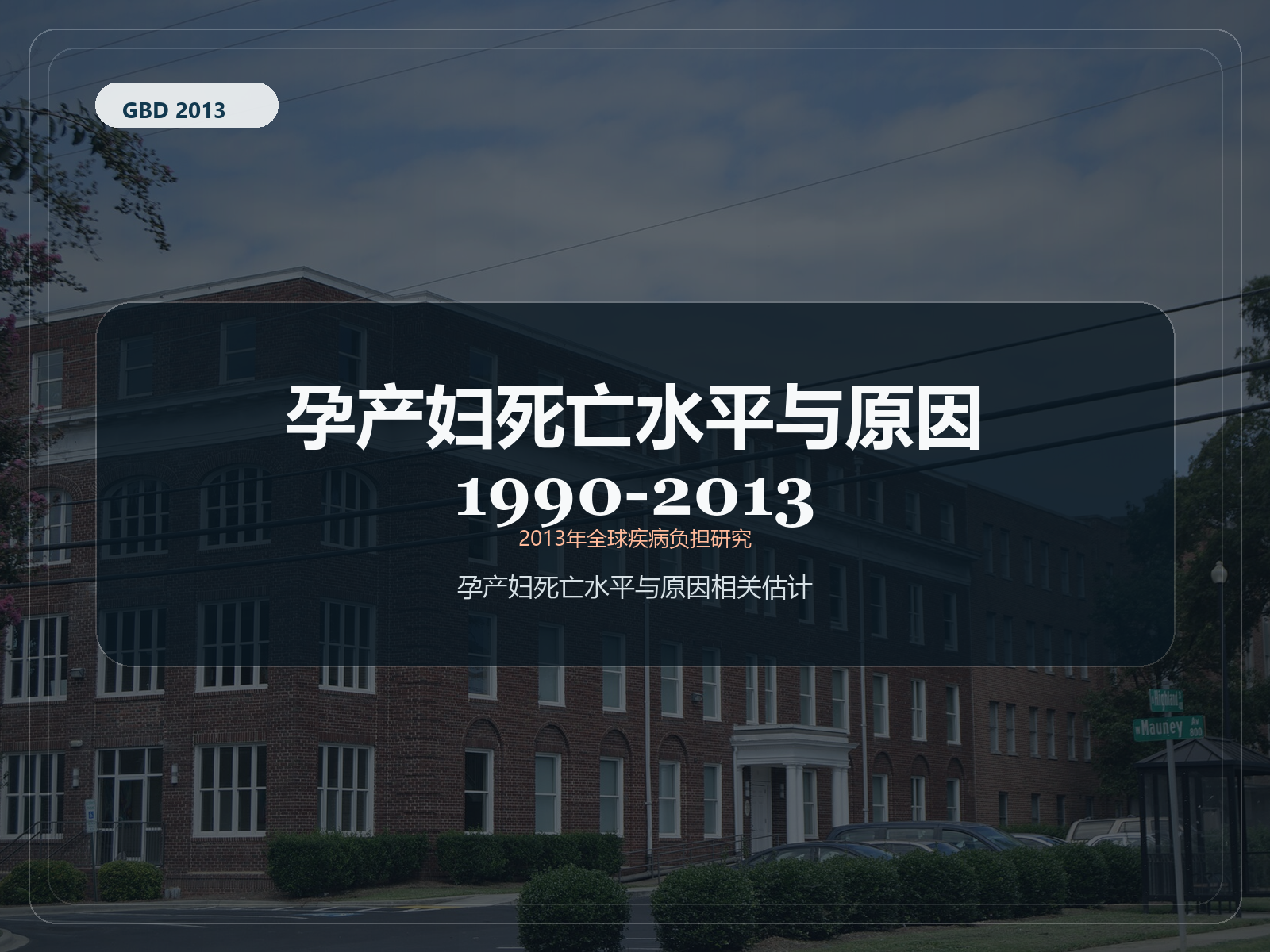 2013 年全球疾病负担研究 1990-2013 年孕产妇死亡率水平和原因