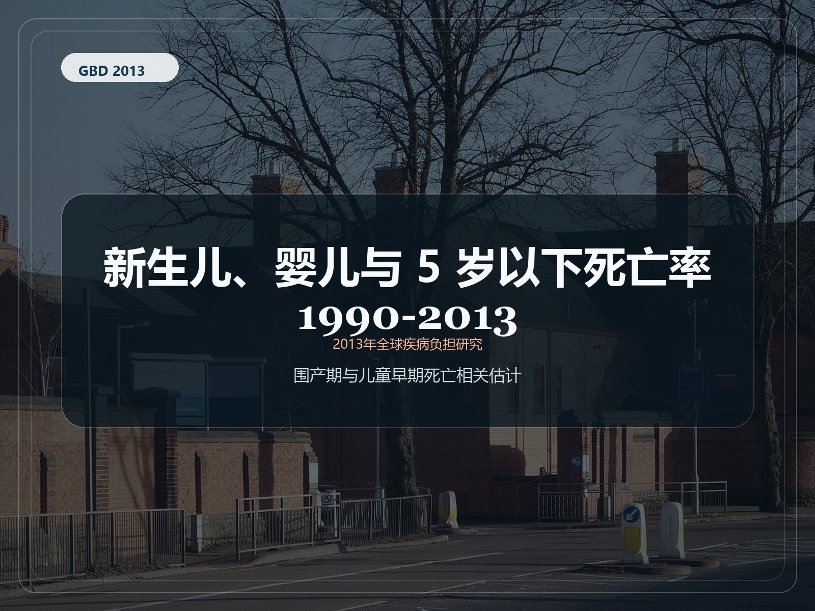 2013 年全球疾病负担研究 1990-2013 年新生儿、婴儿和 5 岁以下儿童死亡率