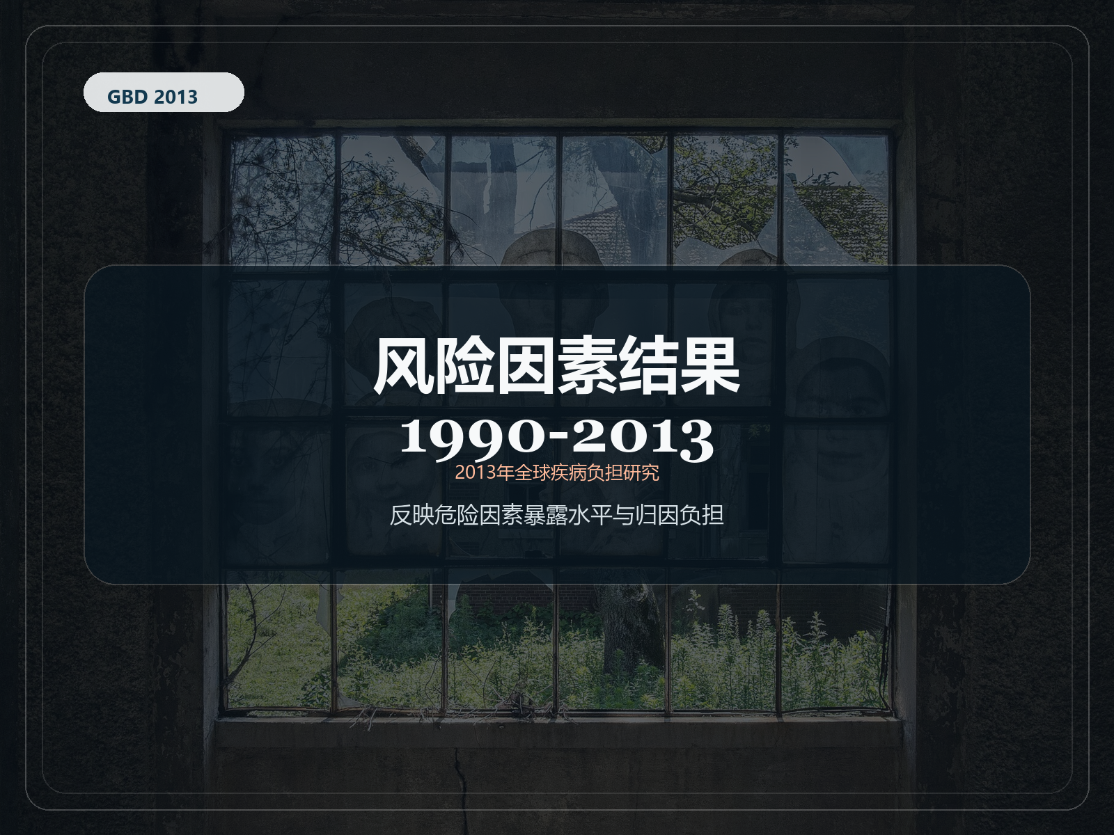 2013 年全球疾病负担研究 1990-2013 年风险因素结果